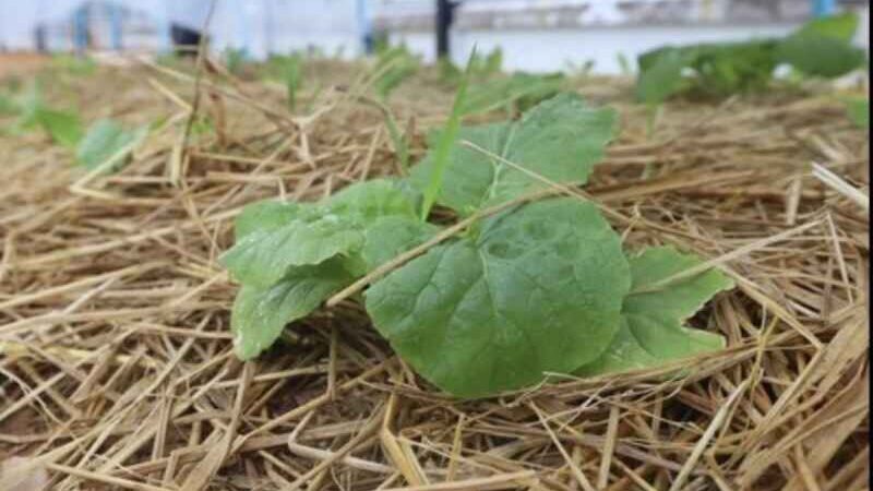 “ประตูเปิด-ใจเปิด”ยลวิถีเลขาฯศอ.บต.ผู้ปวารณาตัว“เราเกิดมาเพื่อช่วยคน”