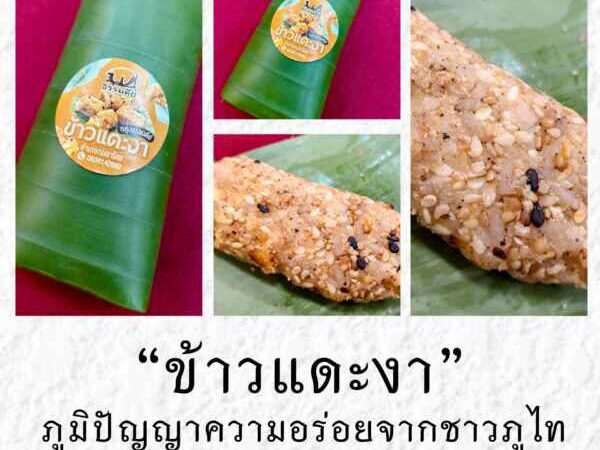 ‘ข้าวแดะงา’ อัตลักษณ์ภูไทเขาวง จ.กาฬสินธุ์ จากขนมโบราณสู่ ‘รสชาติที่หายไป’